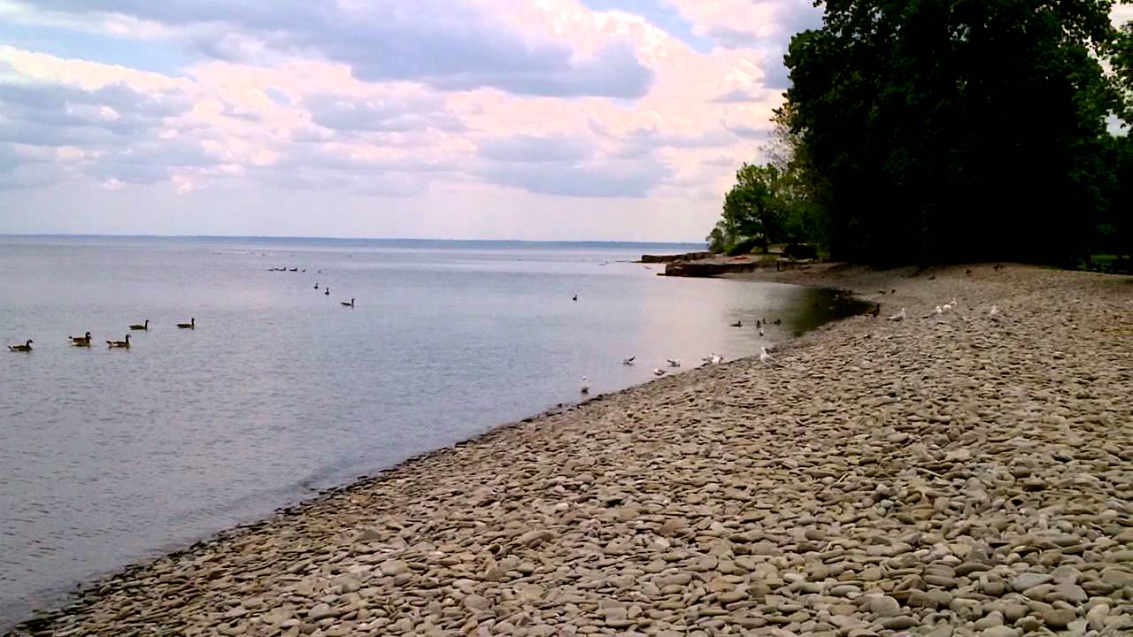 Beach at Coronation Park