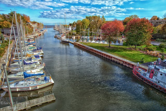 Marina in Oakville